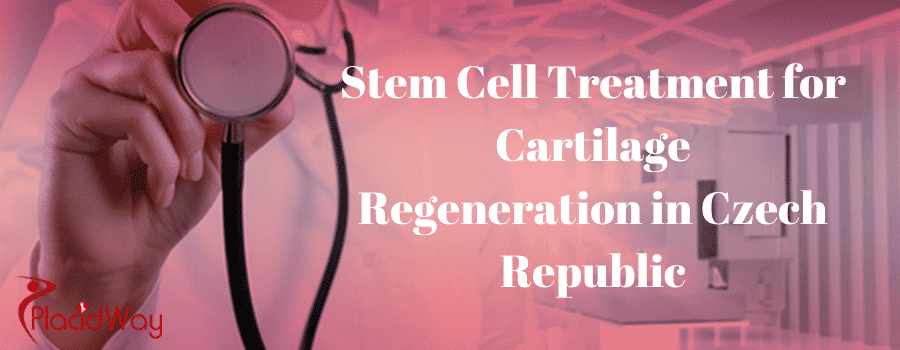 Stem Cell Treatment for Cartilage Regeneration, Czech Republic Stem Cell Treatment for Cartilage Regeneration, Czech Republic